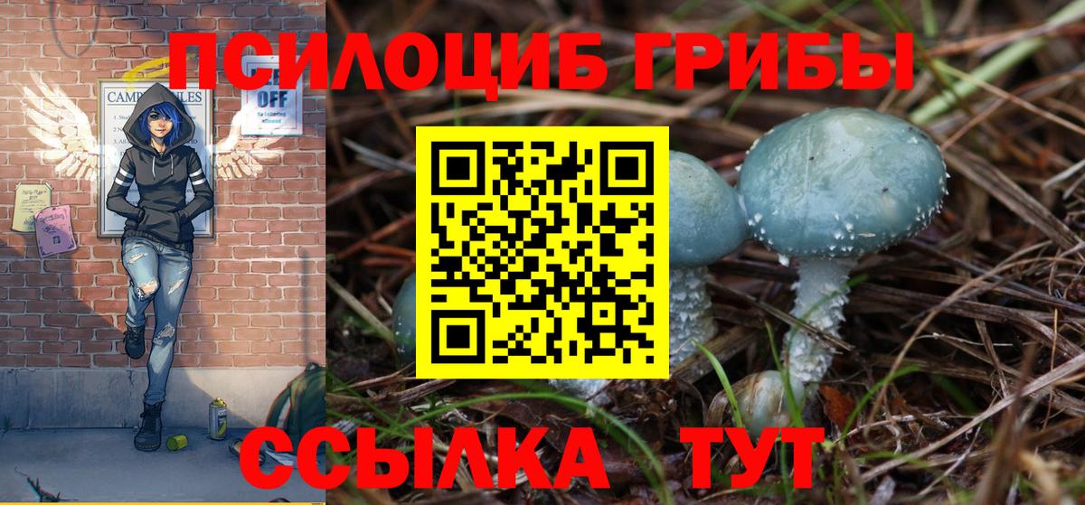 Ростов Великий  Галлюциногенные грибы Psilocybine cubensis  Вход с VPN 